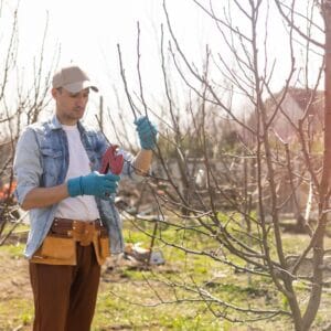 Gyümölcstermesztő Kertész Kurzus